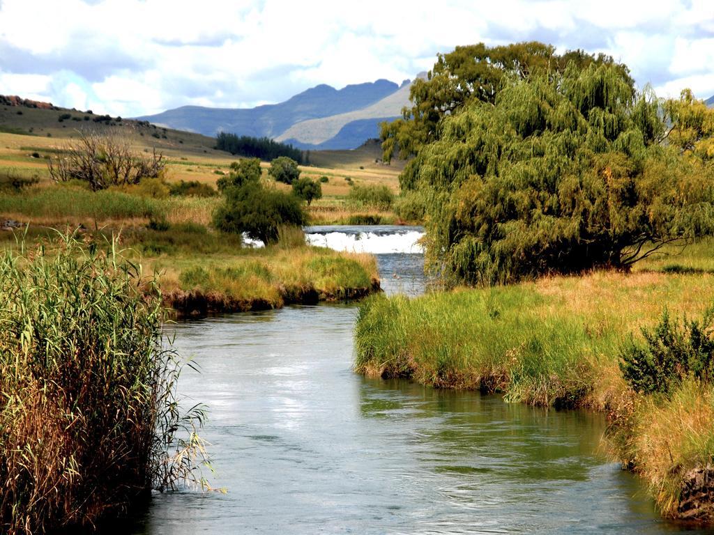Rosewood Corner, Clarens Bed and Breakfast Exteriör bild