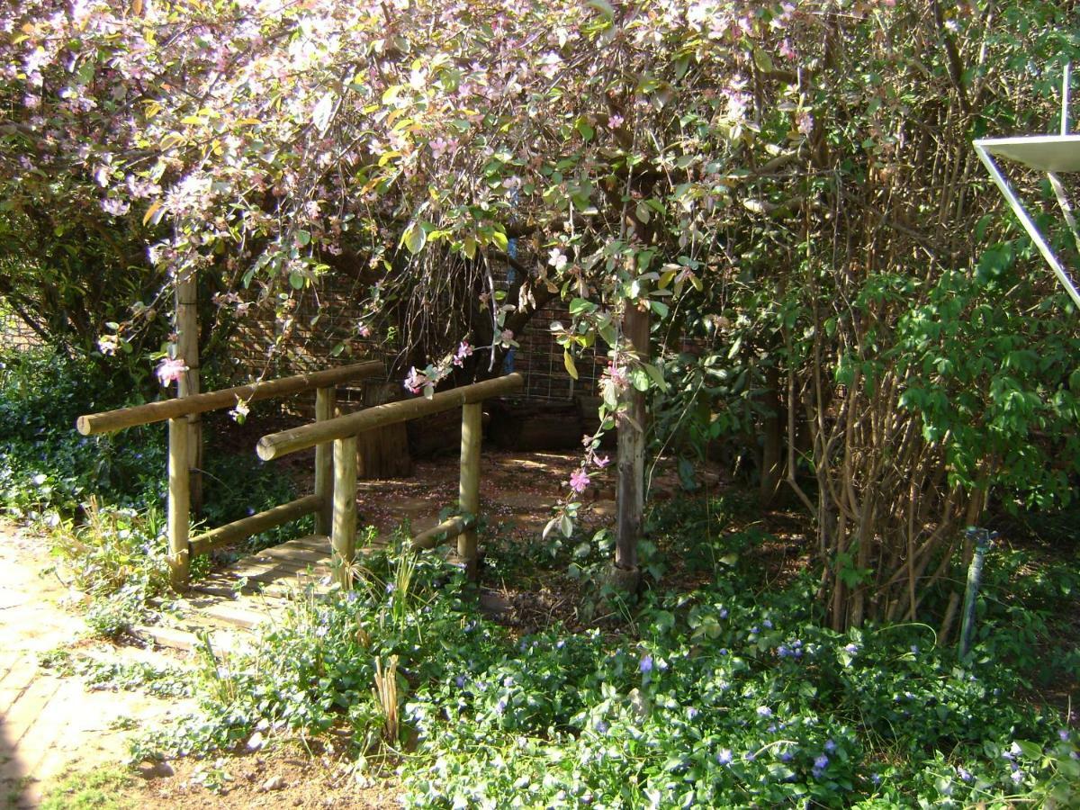 Rosewood Corner, Clarens Bed and Breakfast Exteriör bild